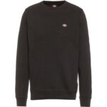 Dickies Oakport Sweatshirt Herren