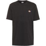 Dickies Mapleton T-Shirt Herren